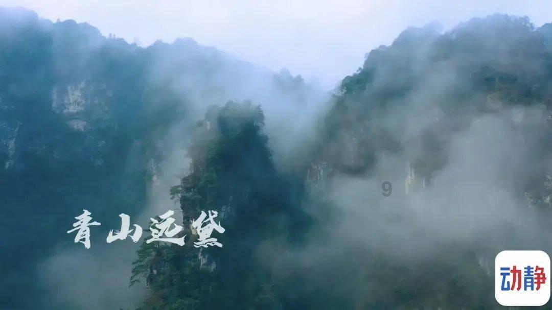 又又又获奖！青岛车展看官方，3月22日西海岸第一场！